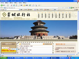 徐州金網 本地網絡服務的全方位專家